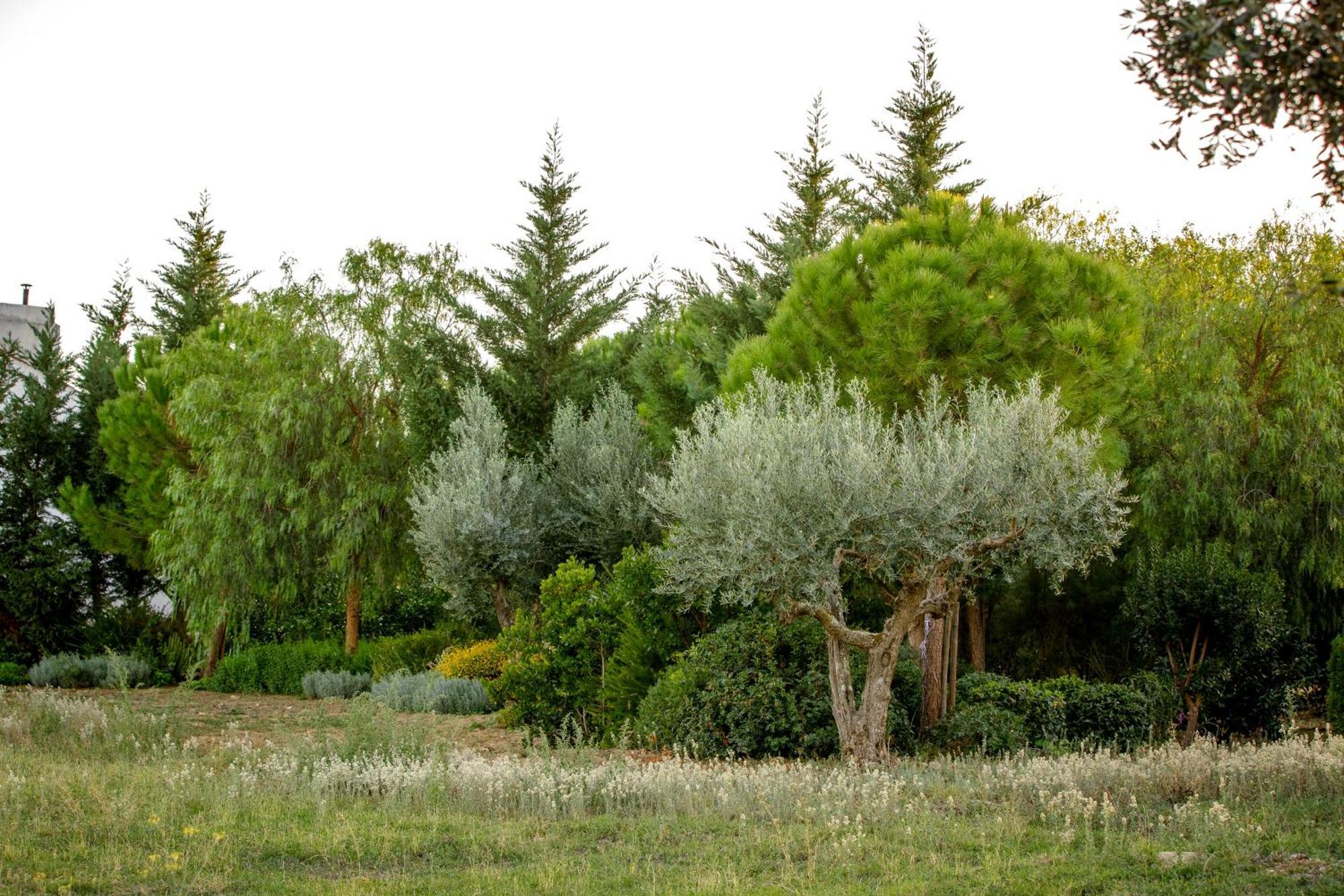 فيلا Monte Da Hortinha إيستريموز المظهر الخارجي الصورة