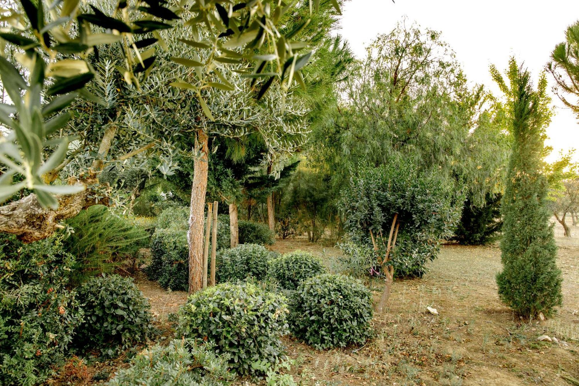 فيلا Monte Da Hortinha إيستريموز المظهر الخارجي الصورة